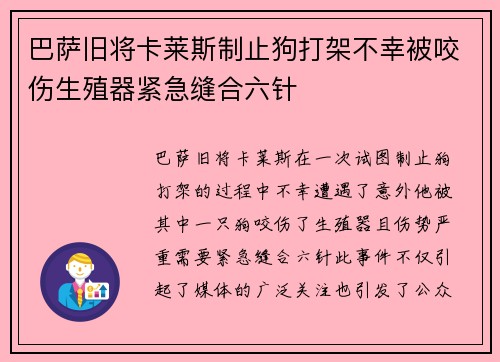 巴萨旧将卡莱斯制止狗打架不幸被咬伤生殖器紧急缝合六针